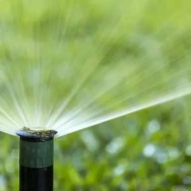 sulama-suyu-dezenfeksiyonu