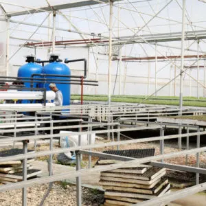 tarimsal-sulama-fidelik-su-aritma